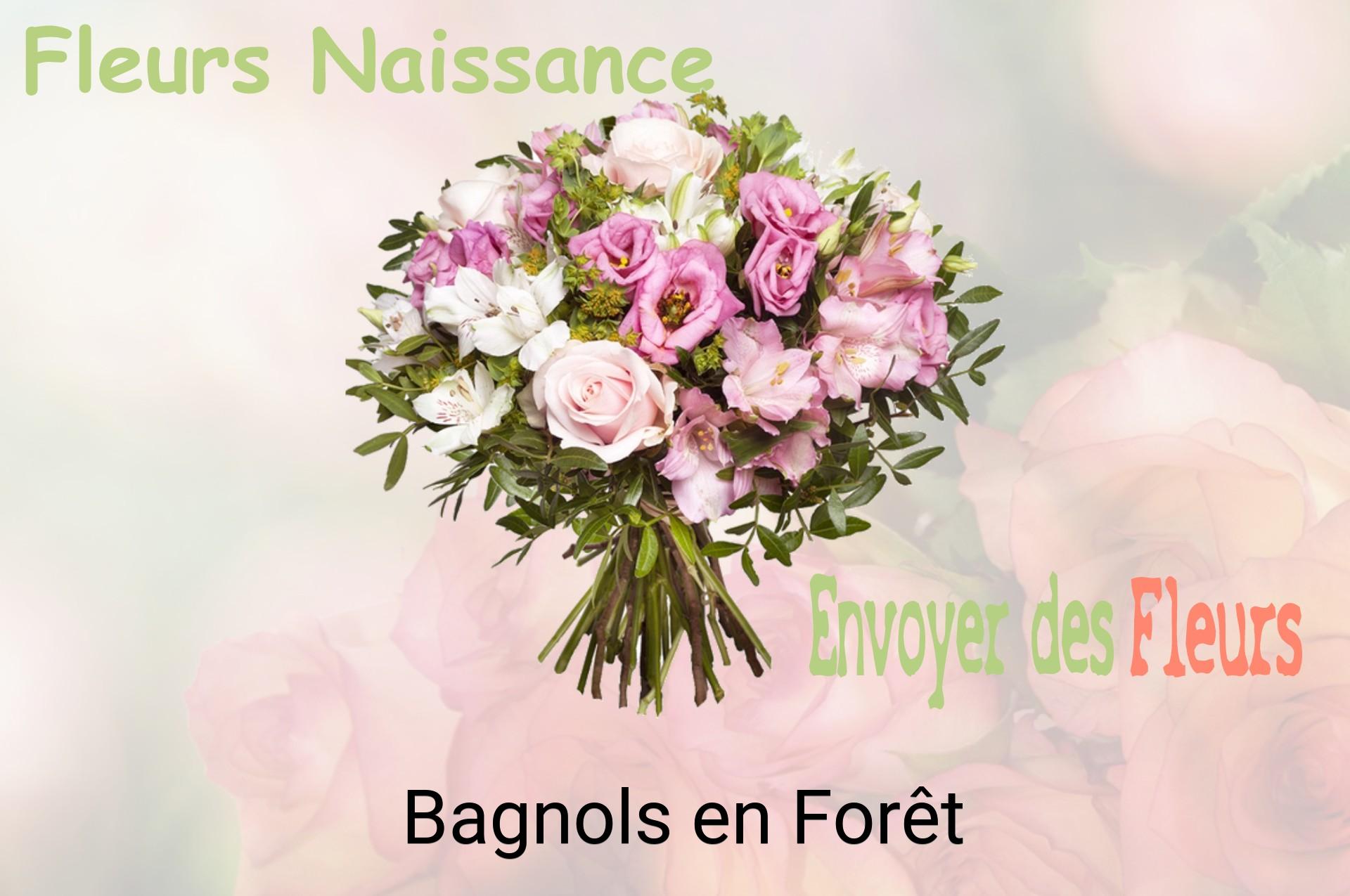 Bouquet de fleurs de naissance livré à Bagnols-en-Forêt